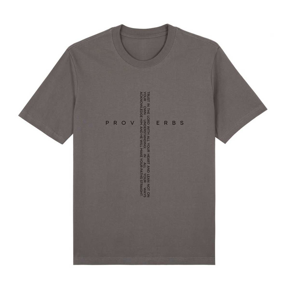 Proverbs Premium T-Shirt